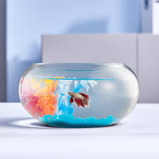 Glass Fish Bowl